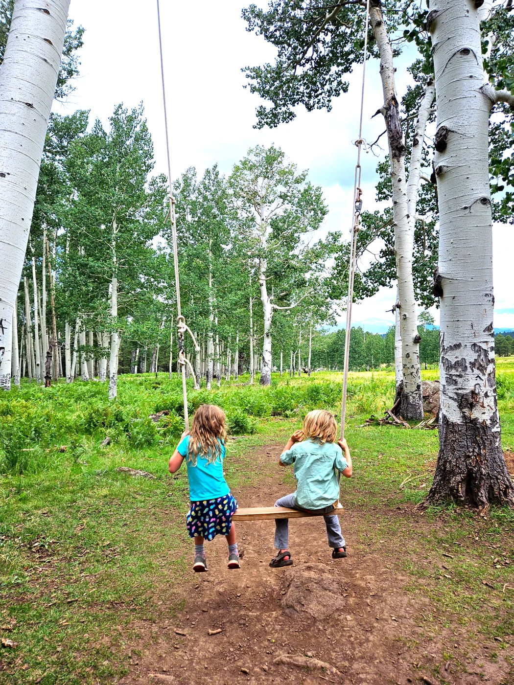 children swinging in the aspen forest on the San Francisco Peaks in Flagstaff Arizona