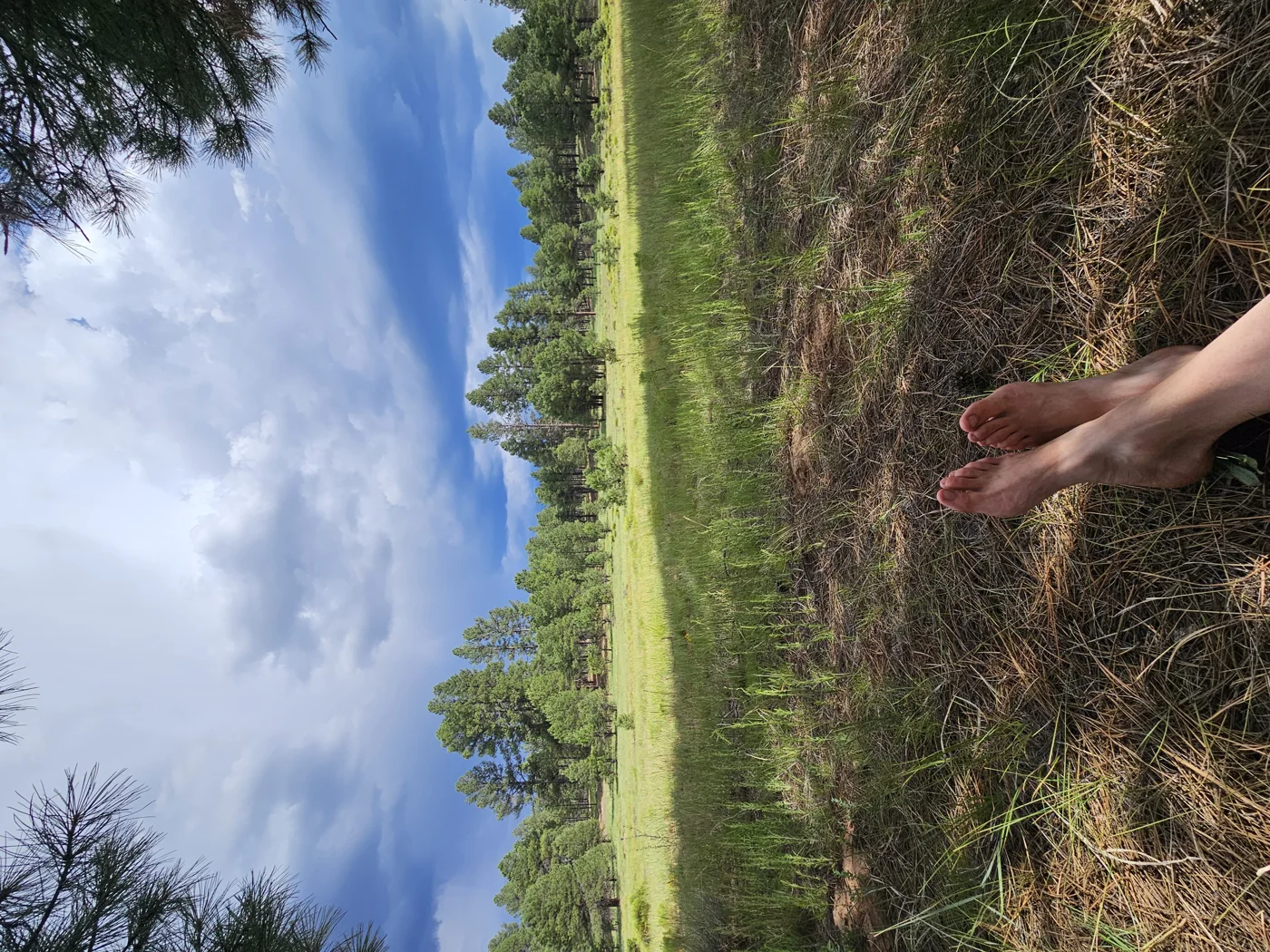 20240804_161959.jpg