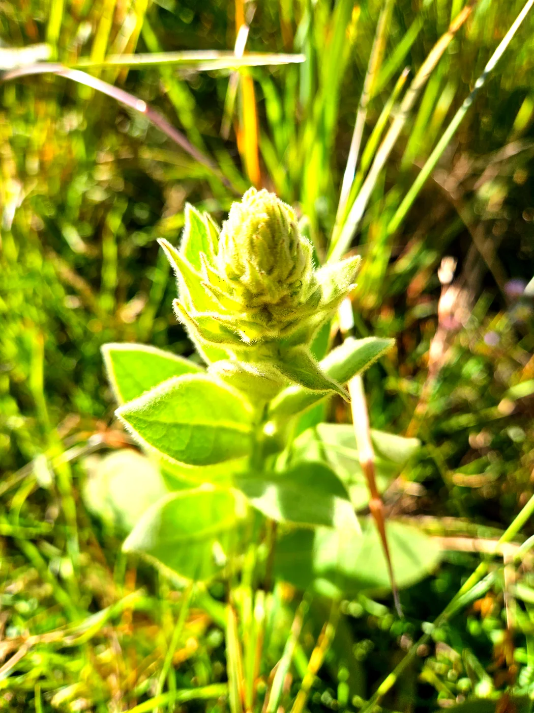20230906_170931_edited.jpg